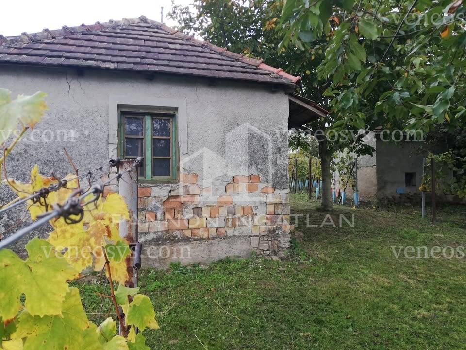 Kép 5