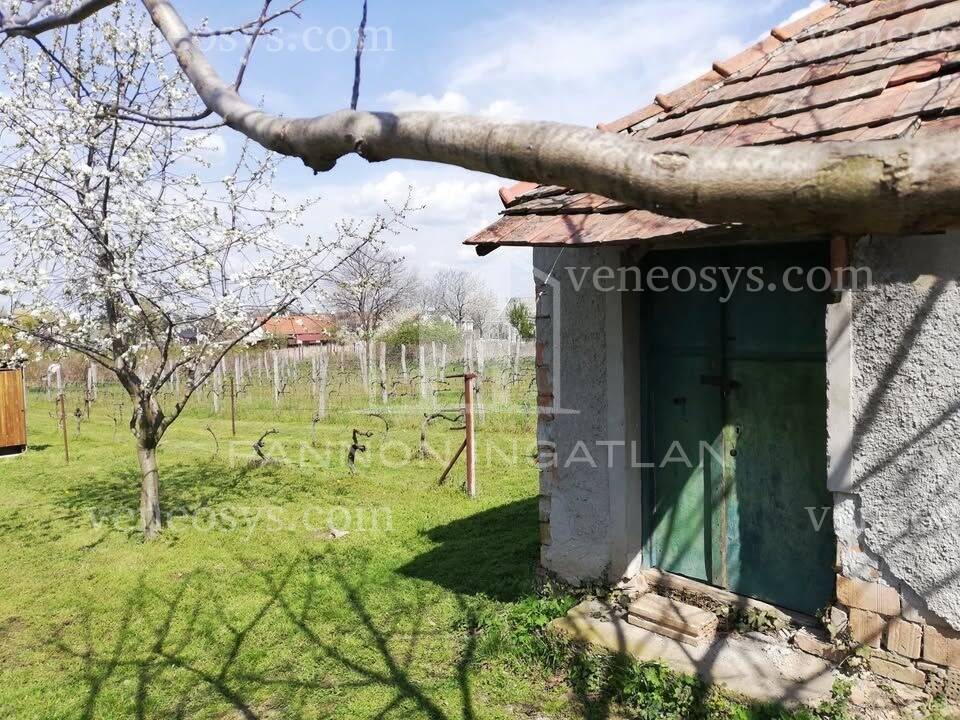 Kép 10