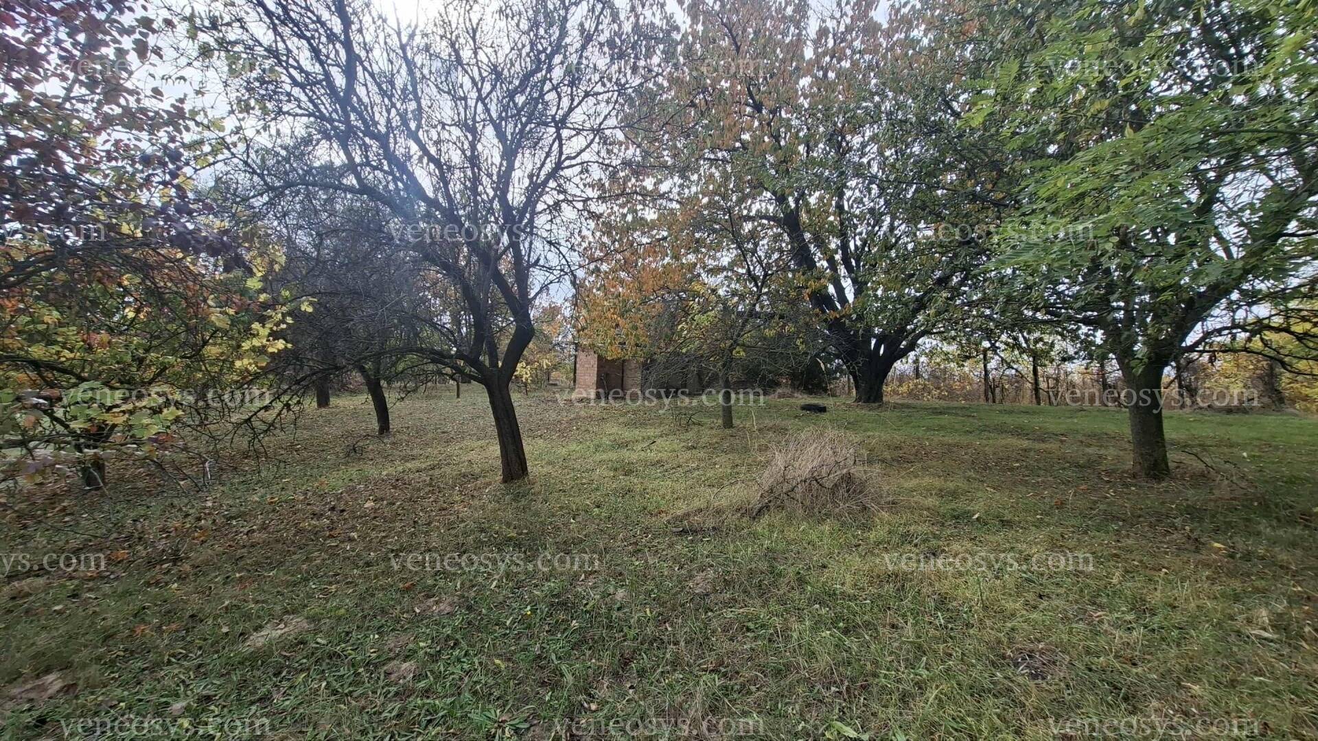 Kép 7