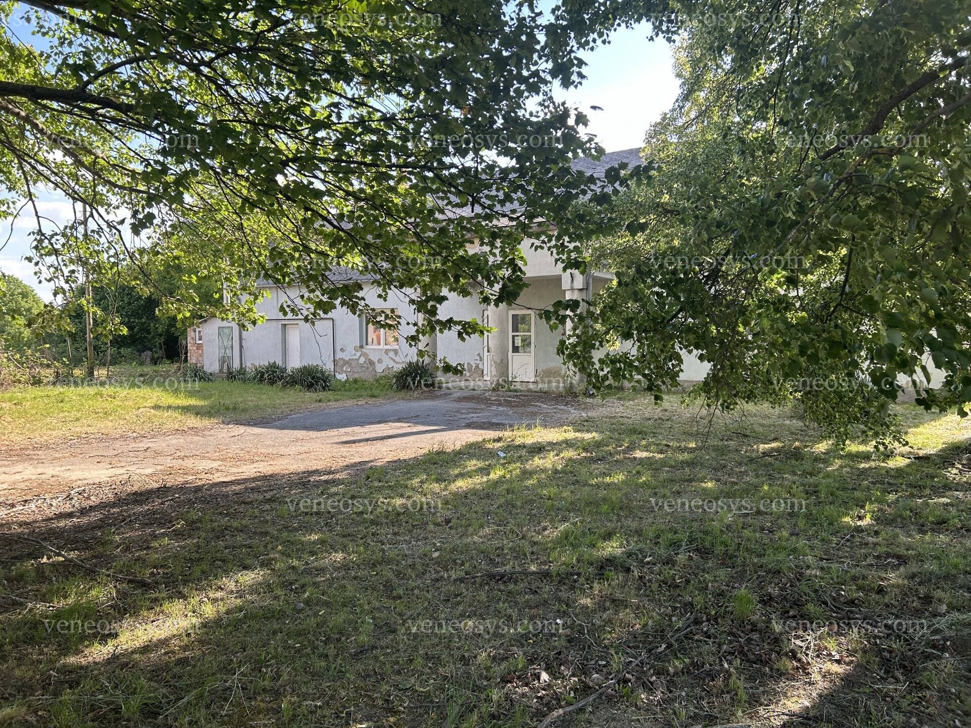 Kép 3