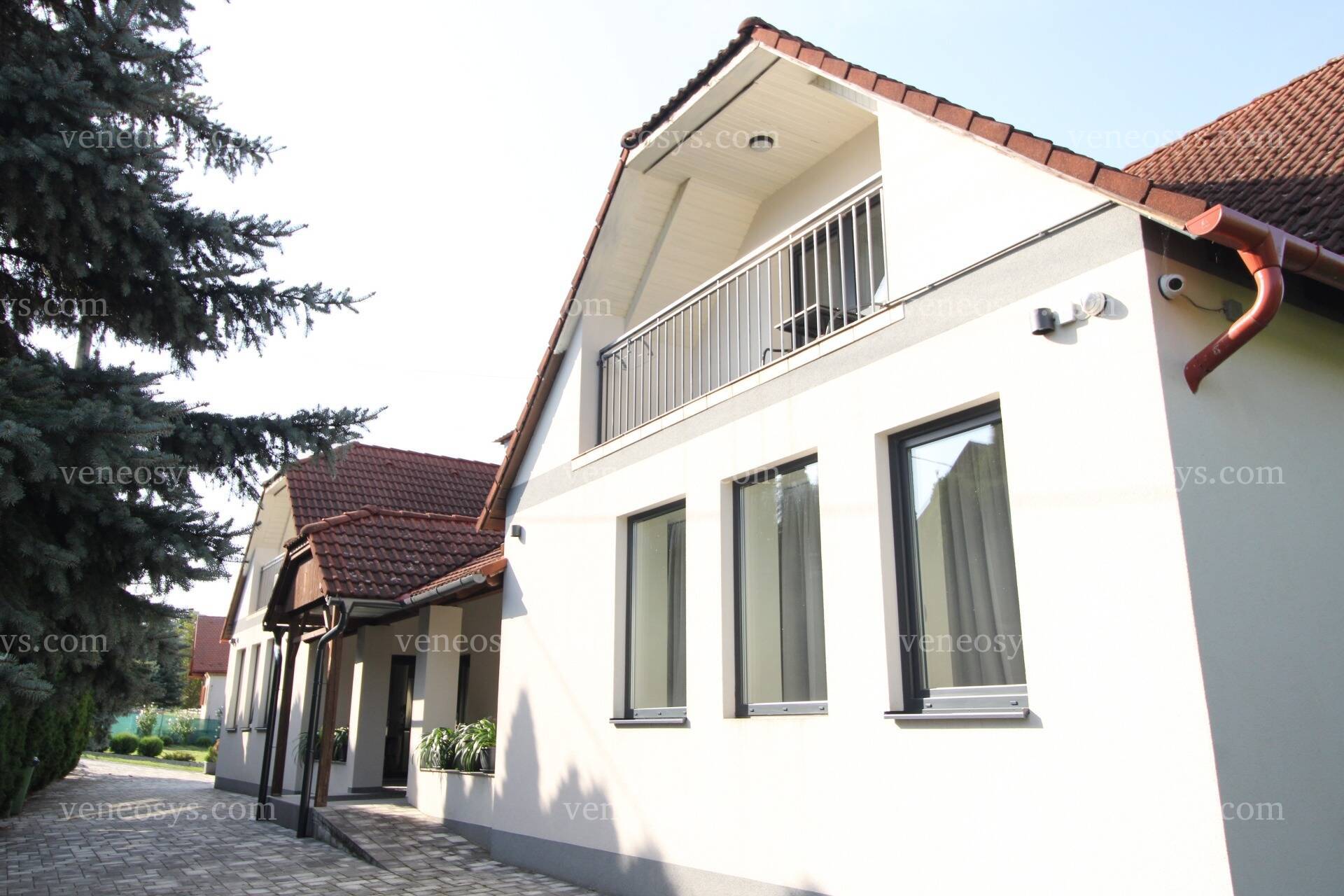 Kép 6