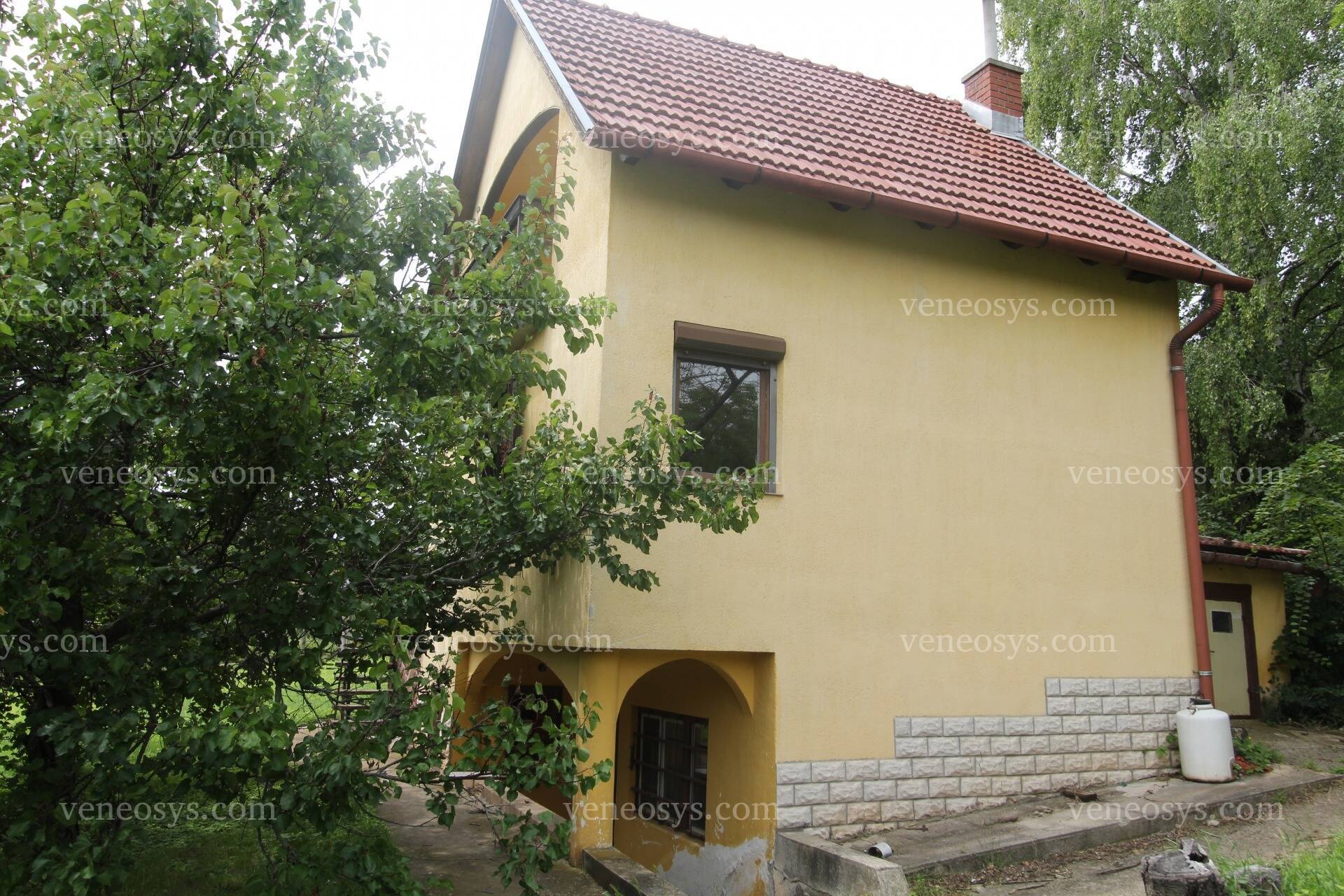 Kép 3