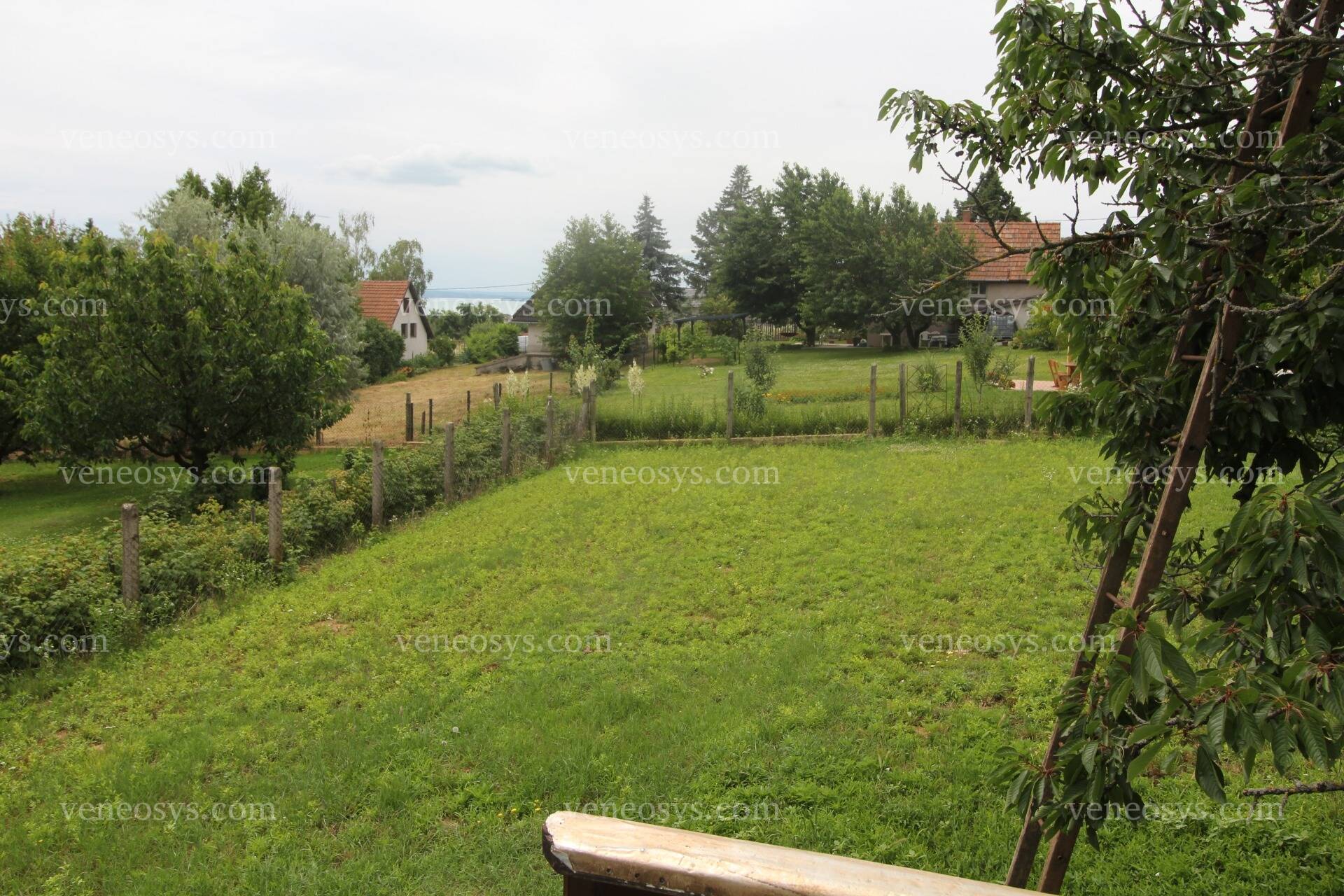 Kép 4