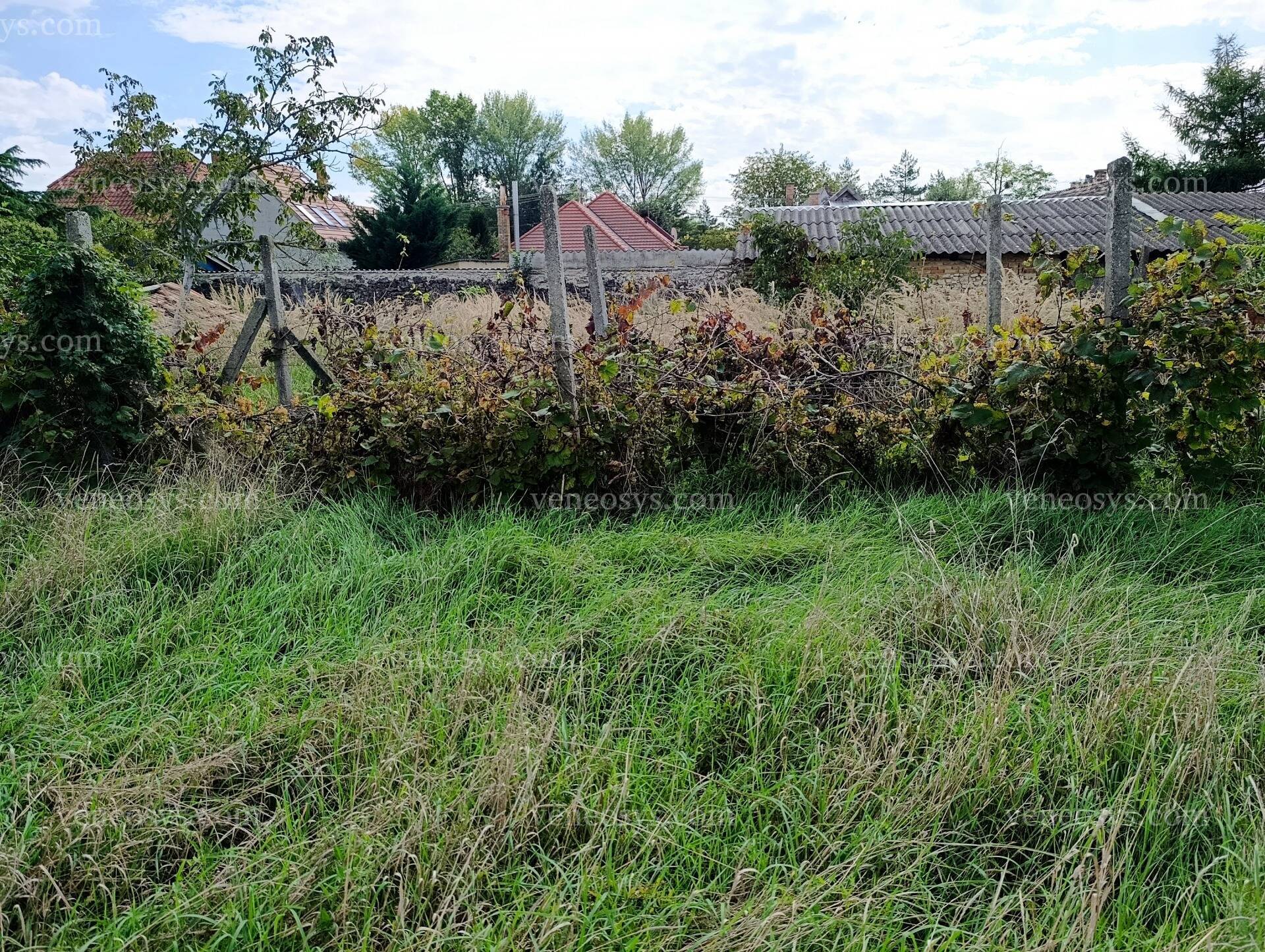Kép 9