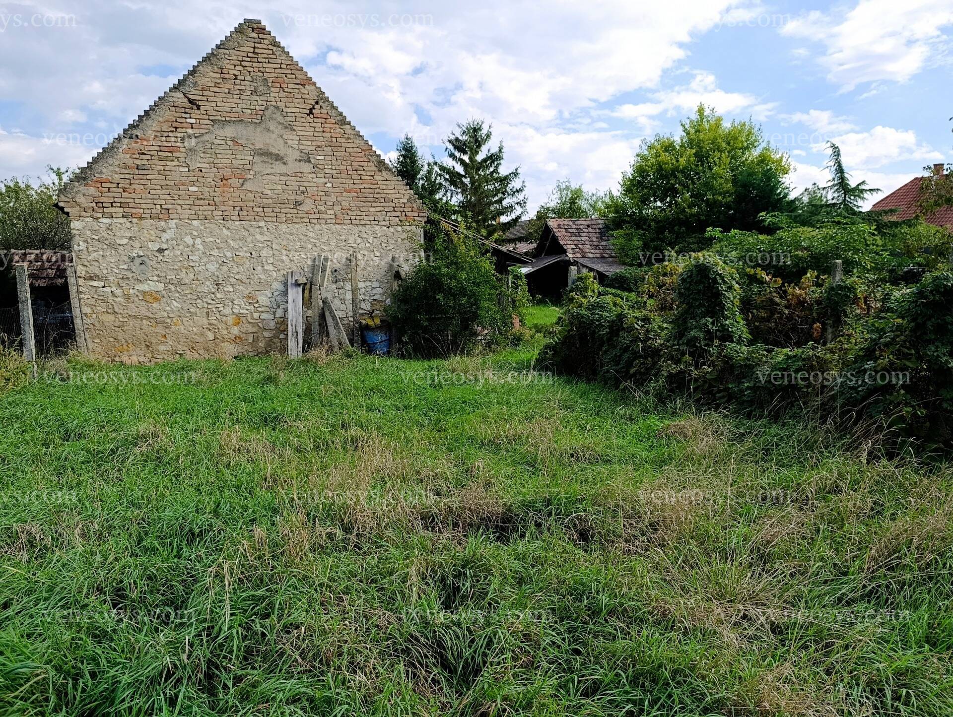 Kép 7