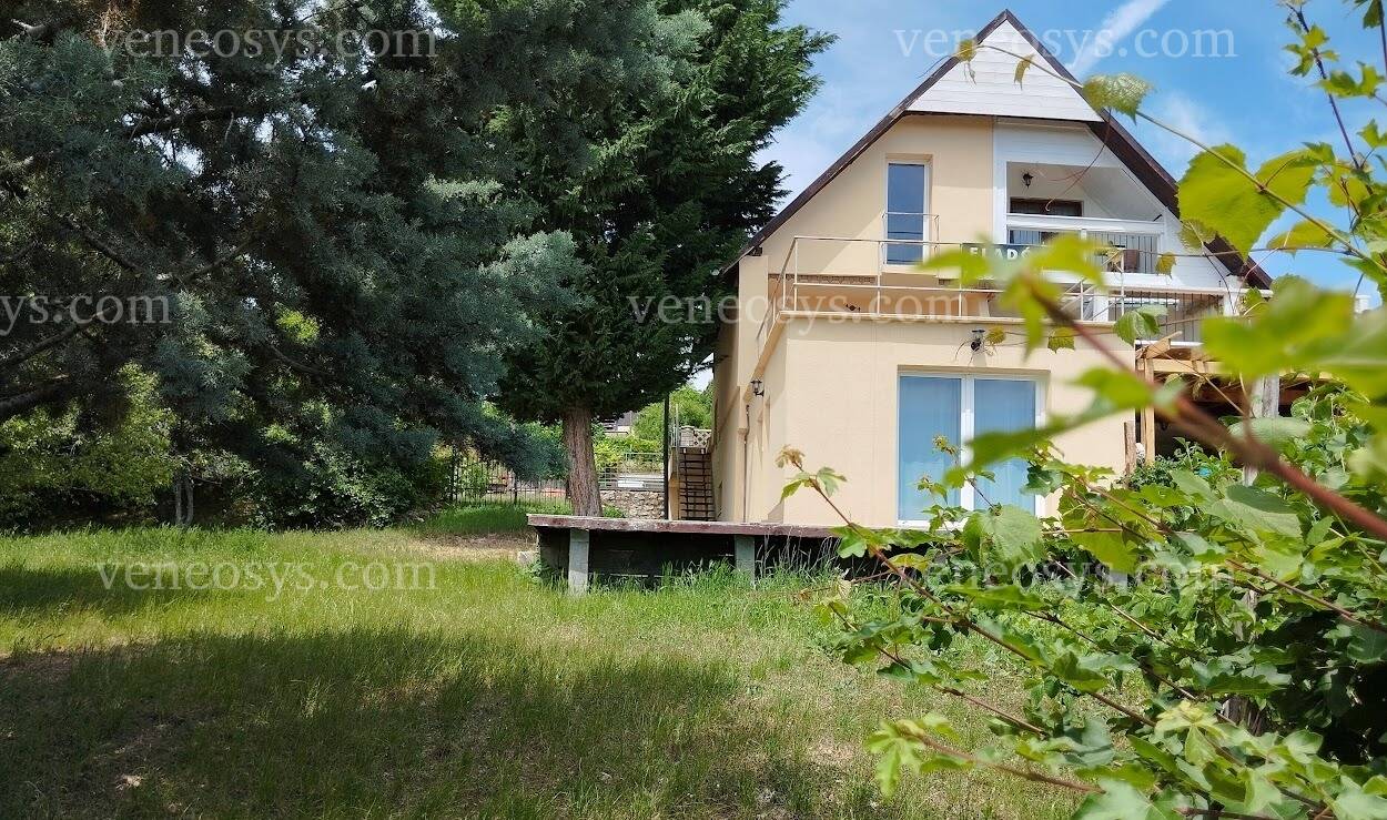 Kép 5