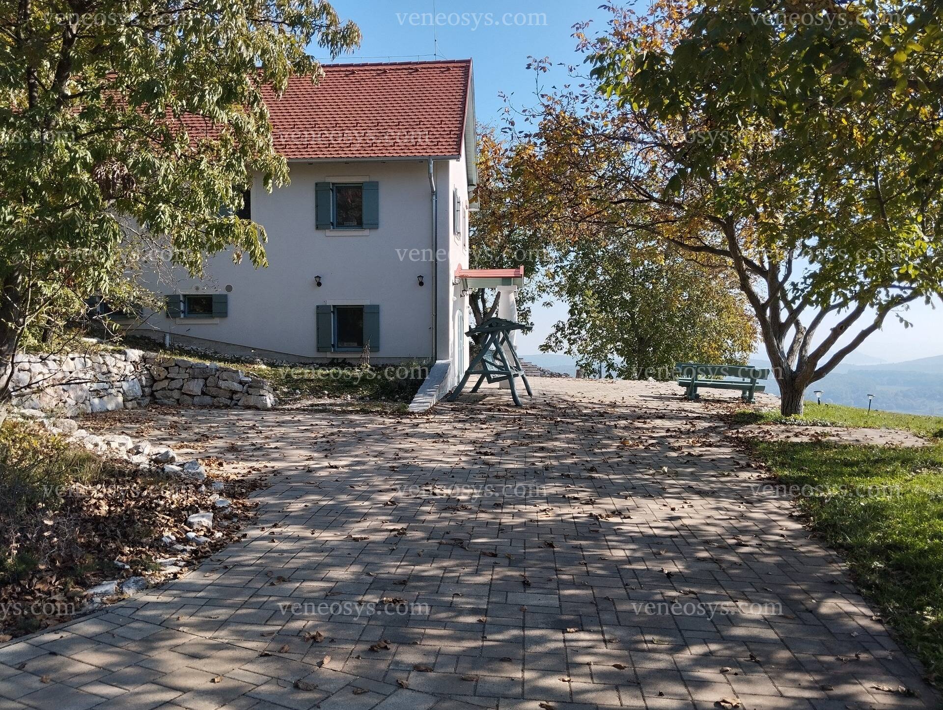 Kép 6