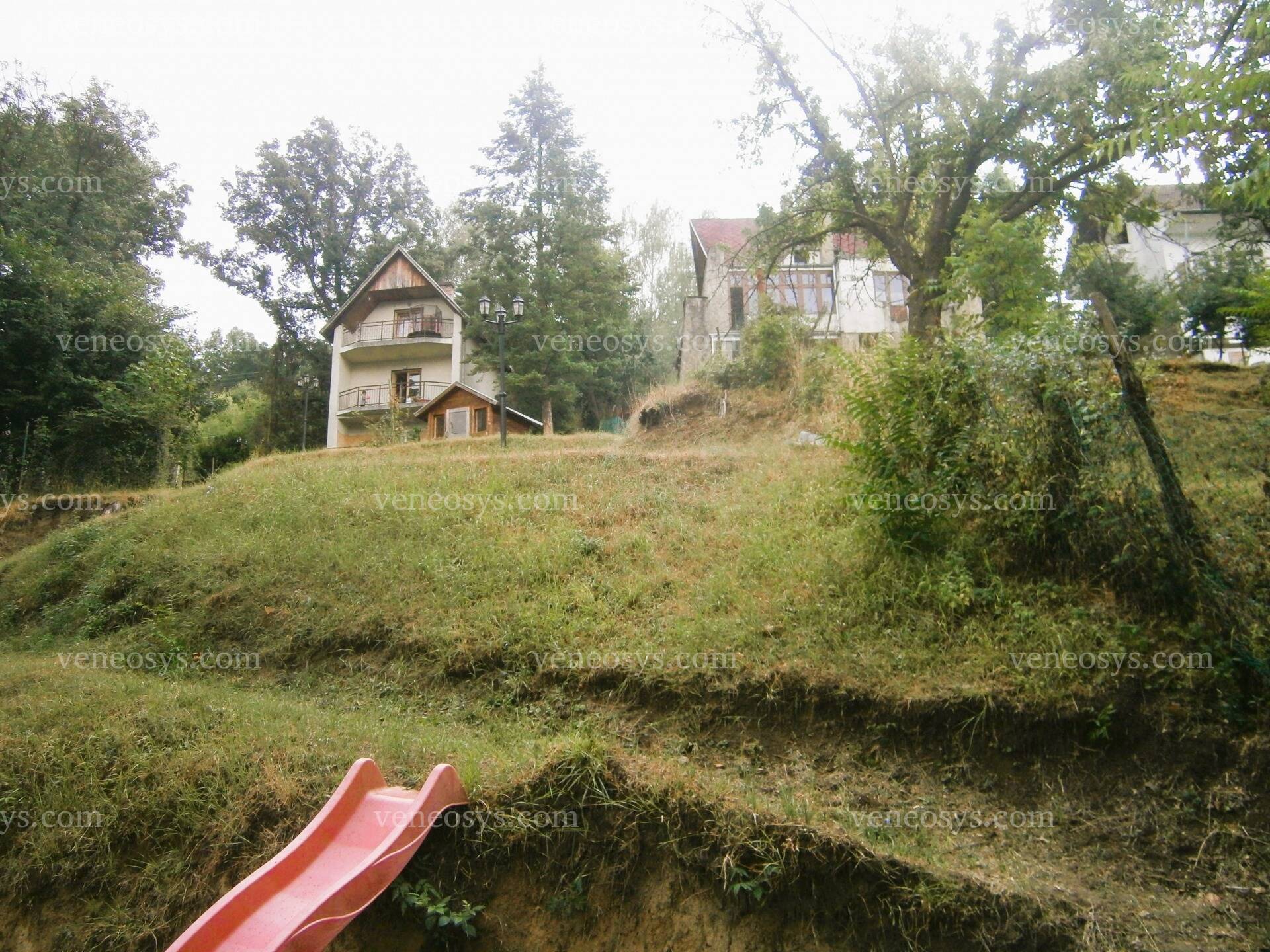 Kép 5