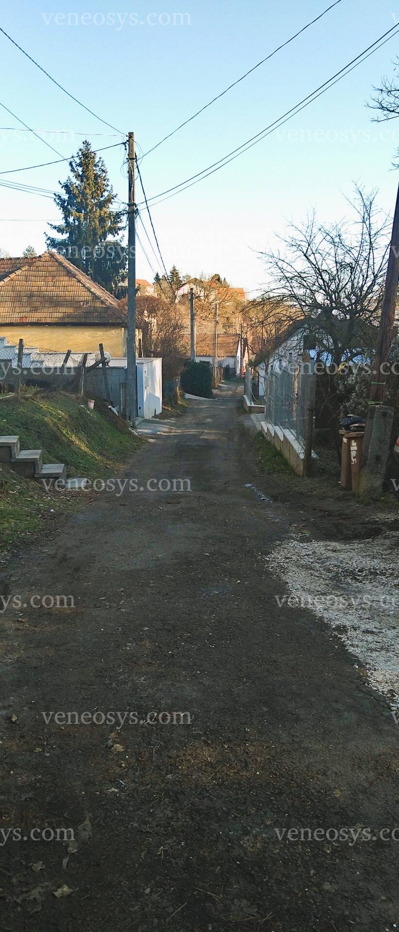 Kép 7