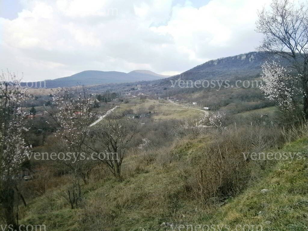 Kép 3