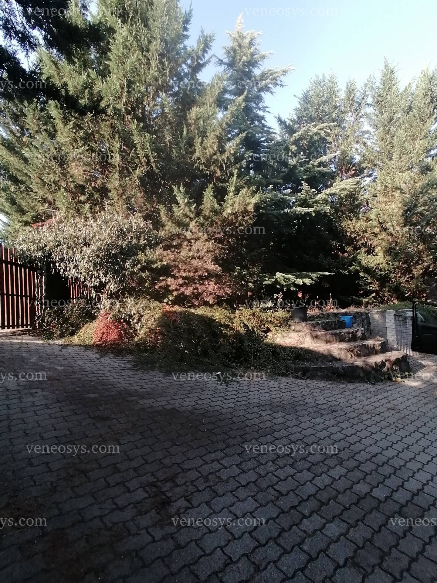 Kép 24