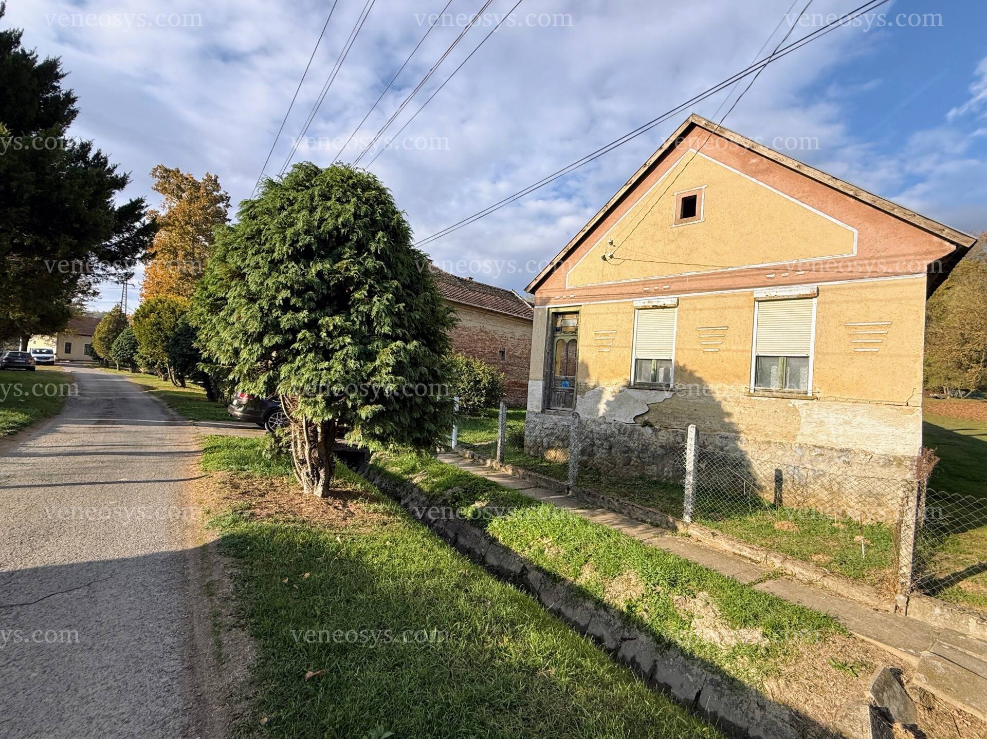 Kép 1