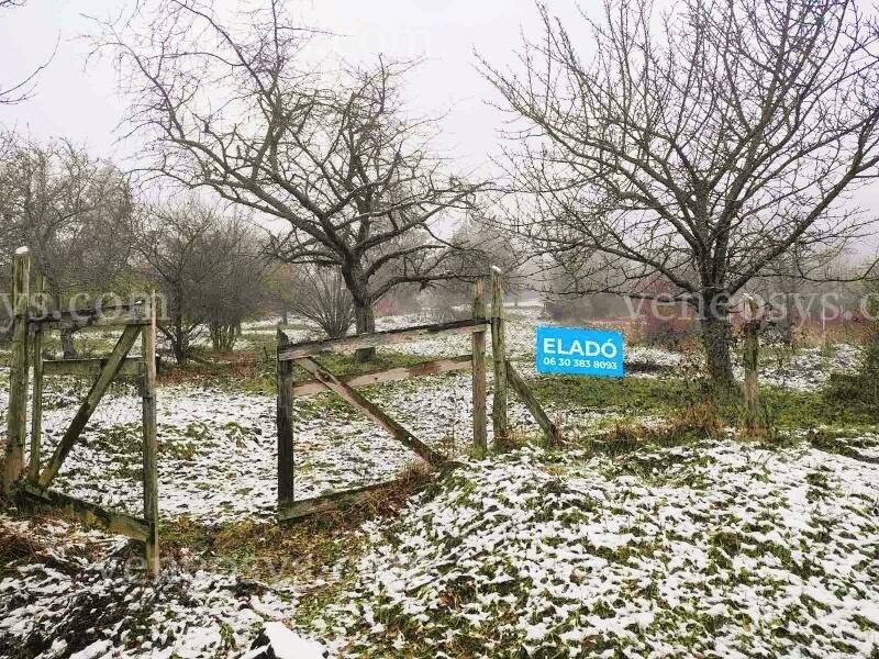 Kép 3