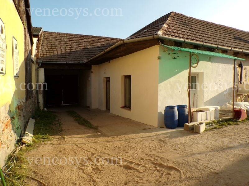 Kép 4