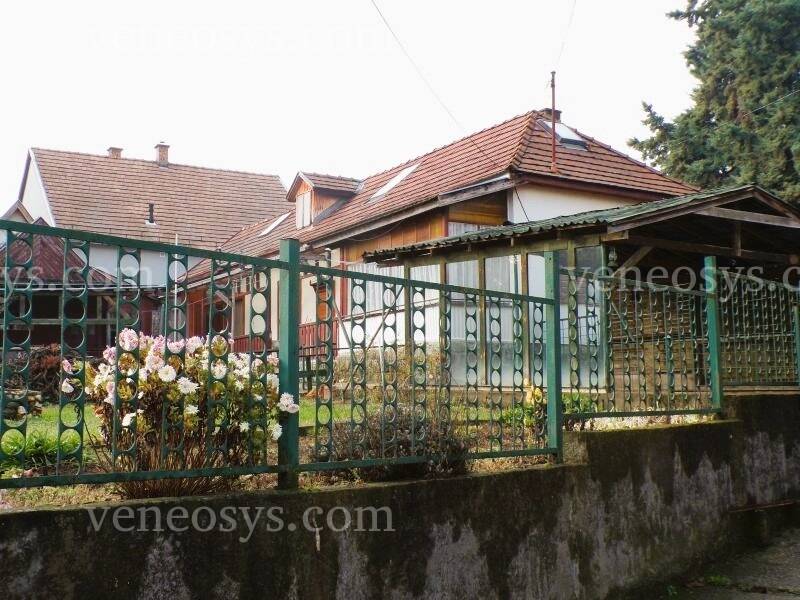 Kép 15