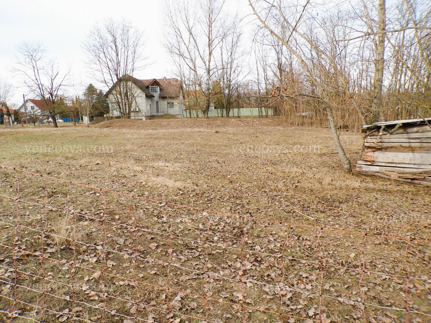Kép 7
