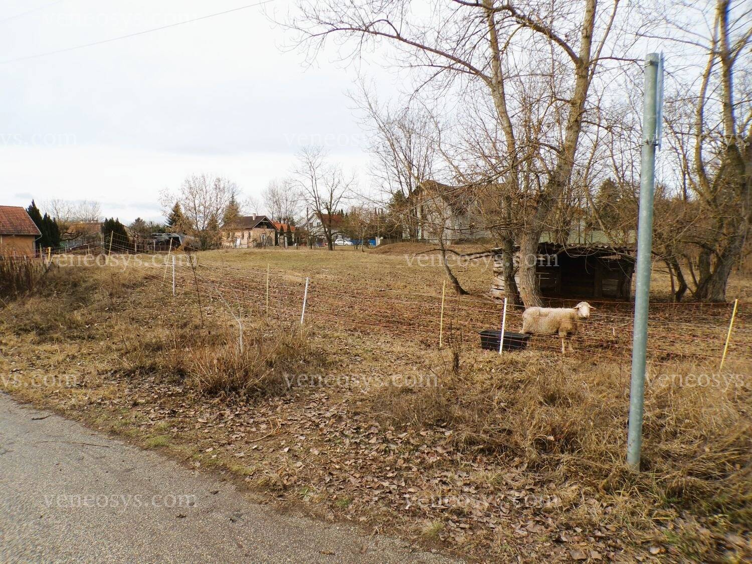 Kép 3