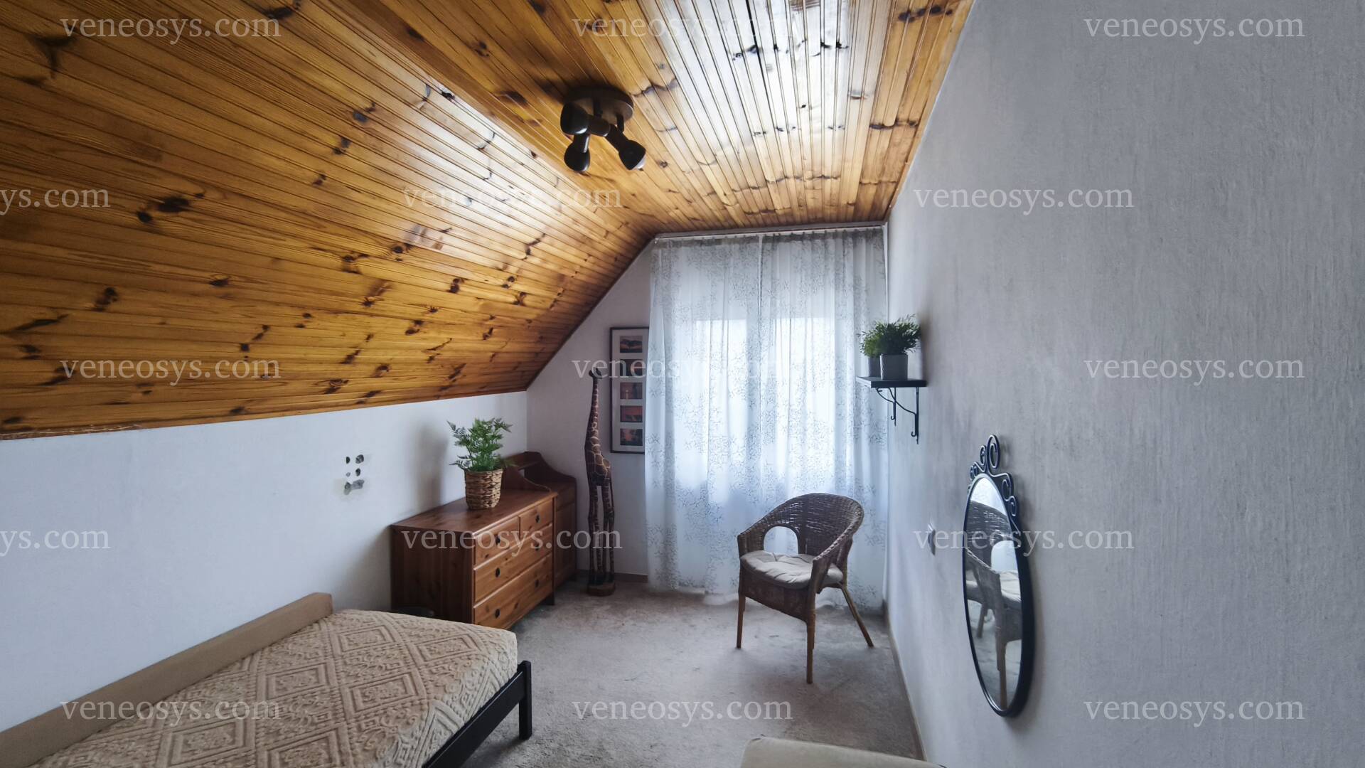 Kép 4
