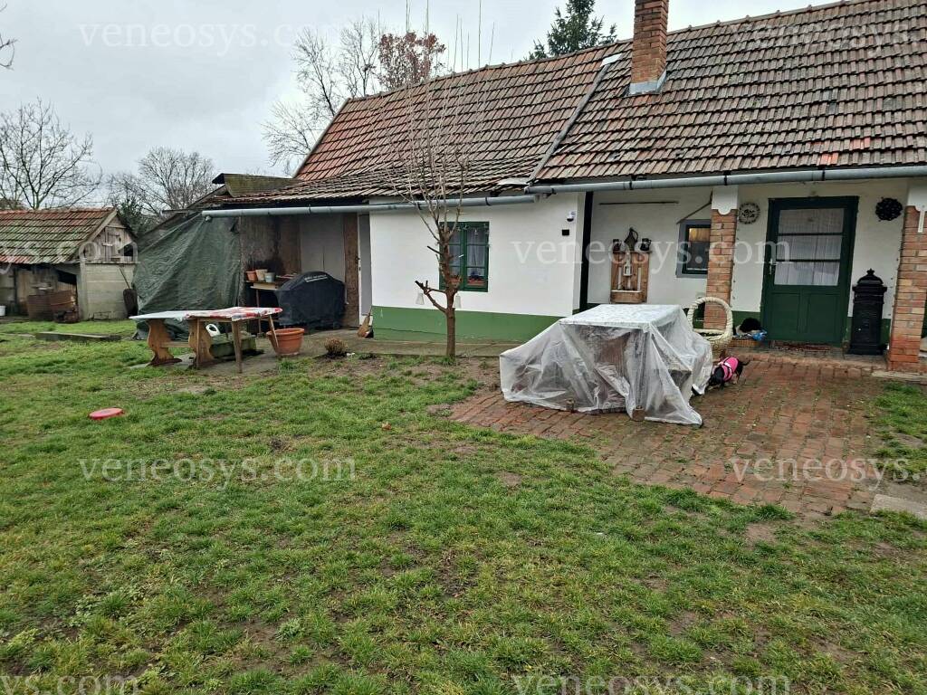 Kép 12