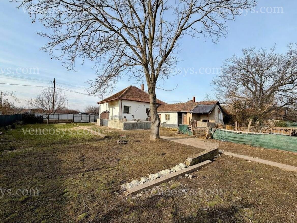 Kép 17