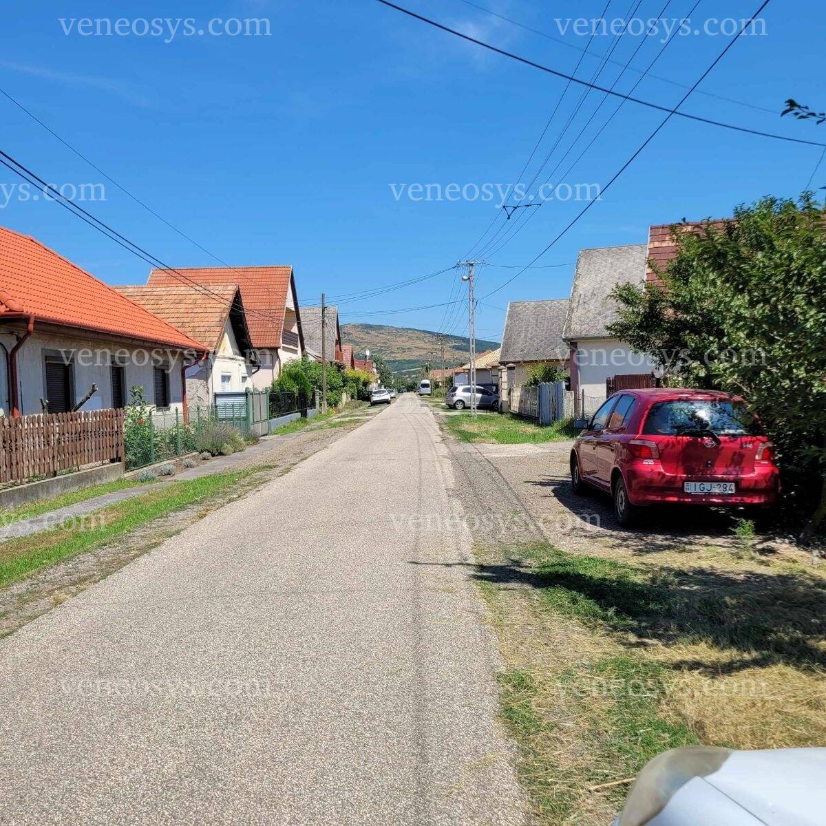 Kép 7