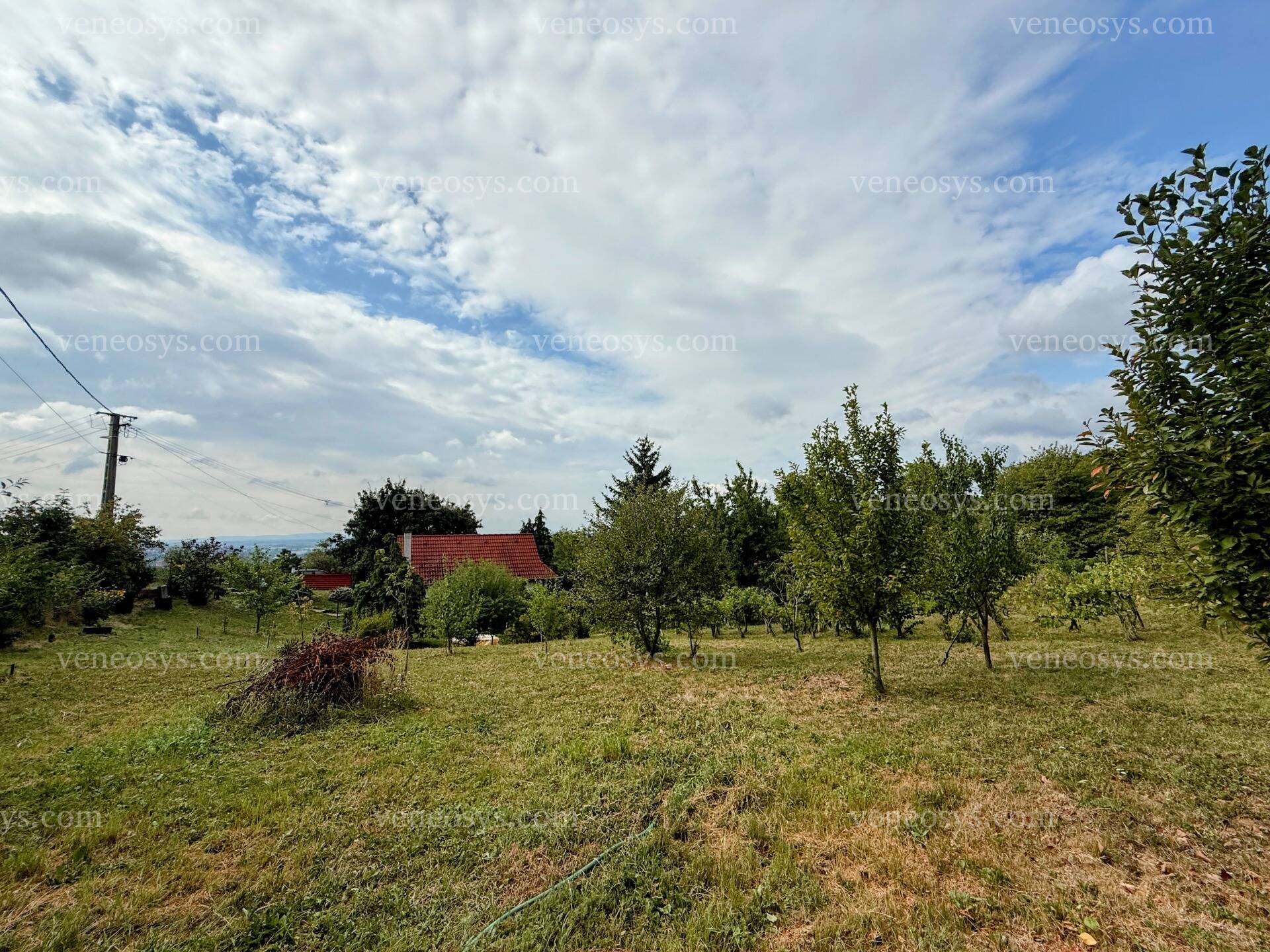 Kép 18