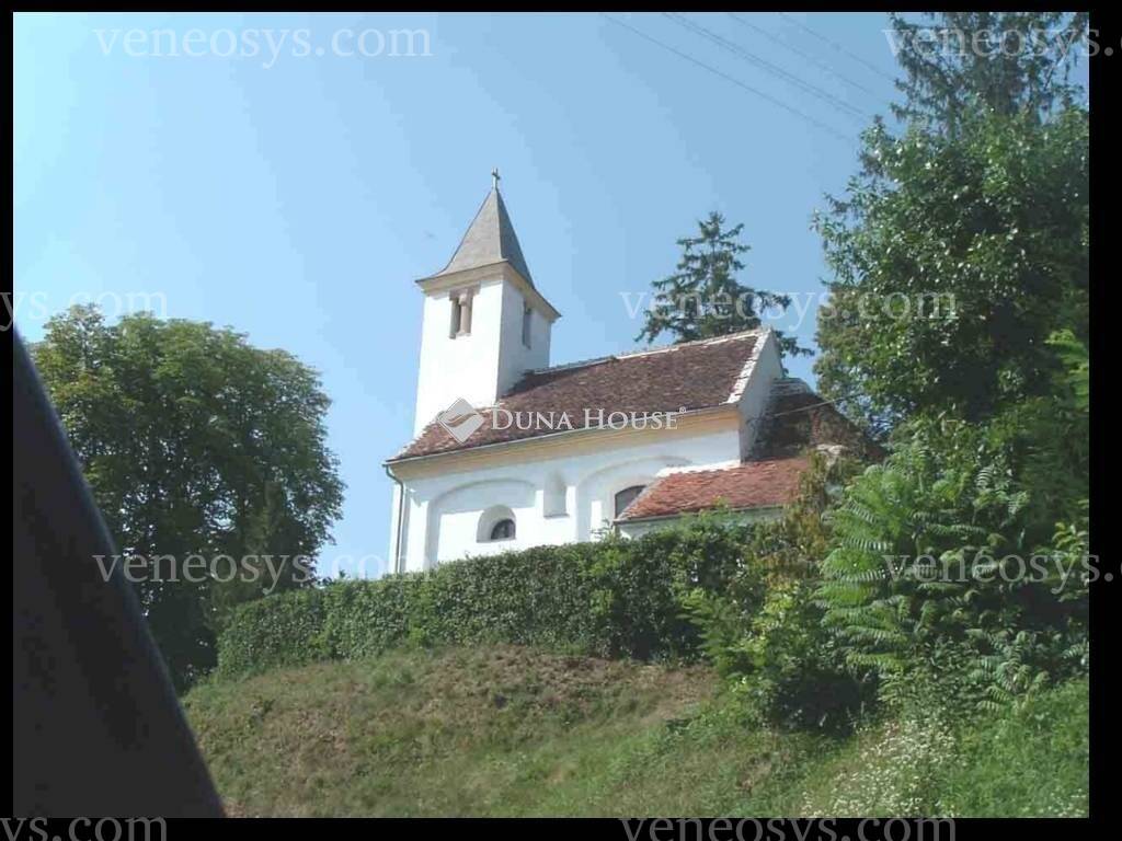 Kép 5