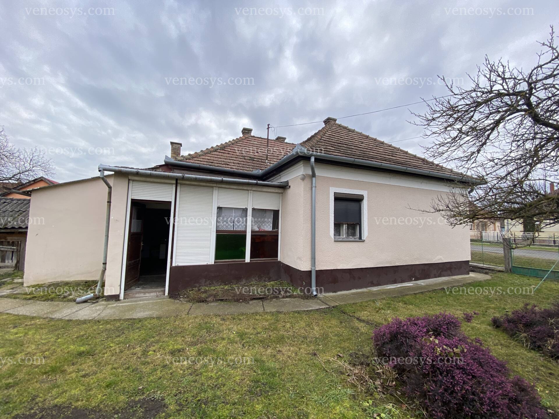Kép 3
