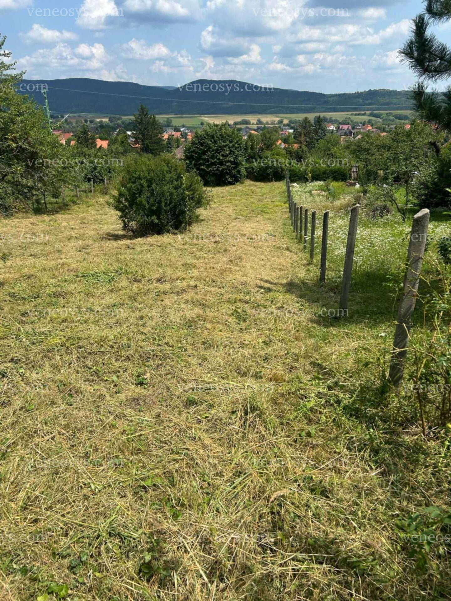 Ingatlan