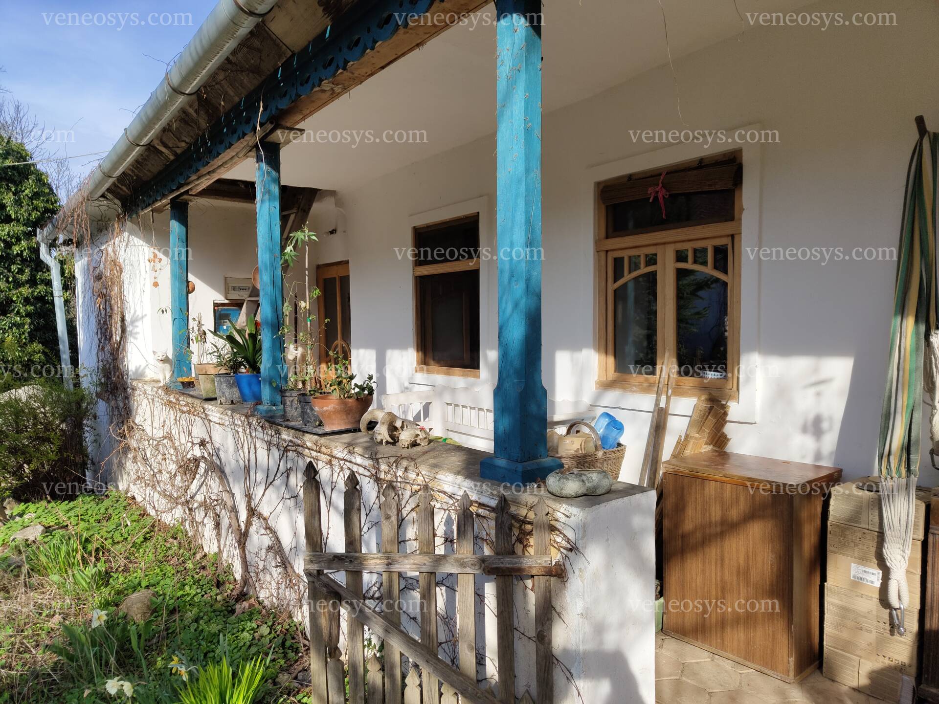 Kép 3