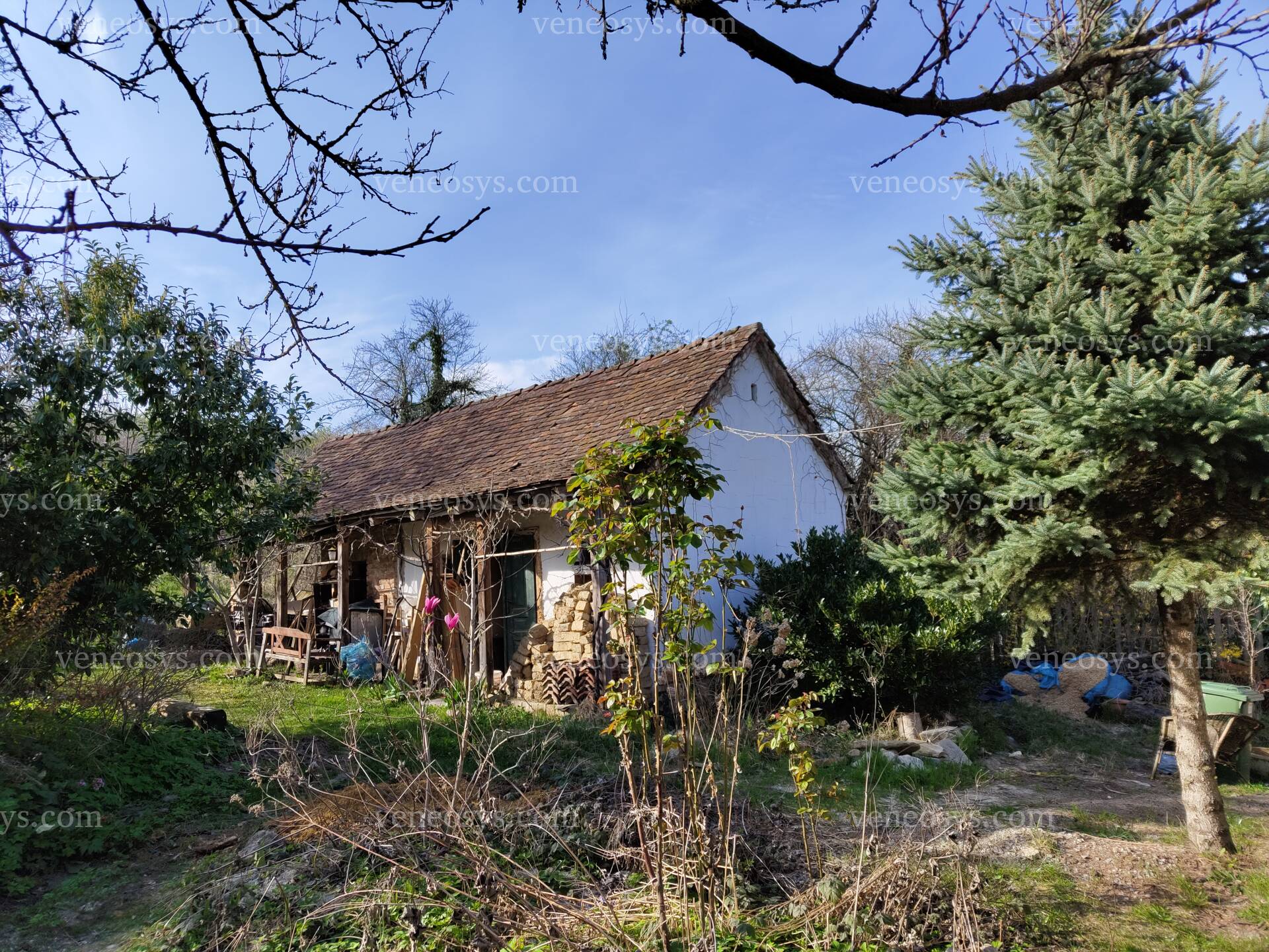 Kép 17