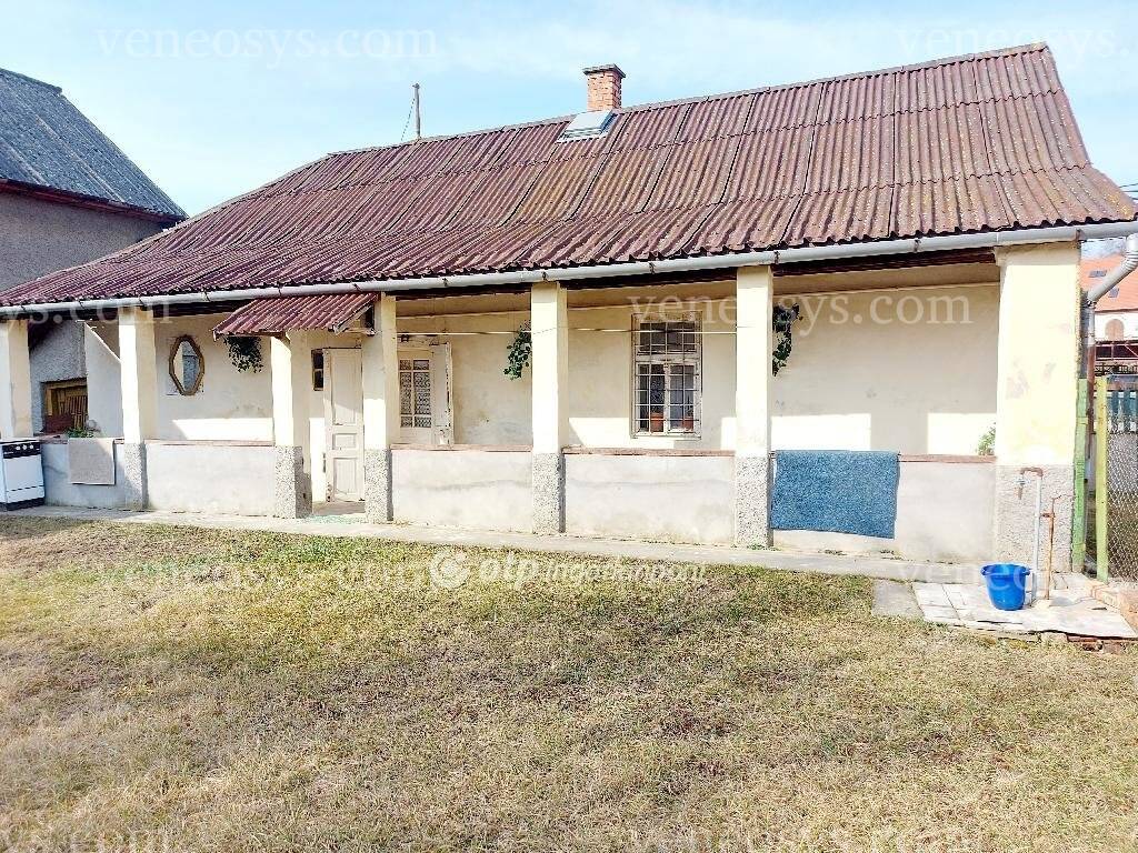 Kép 5