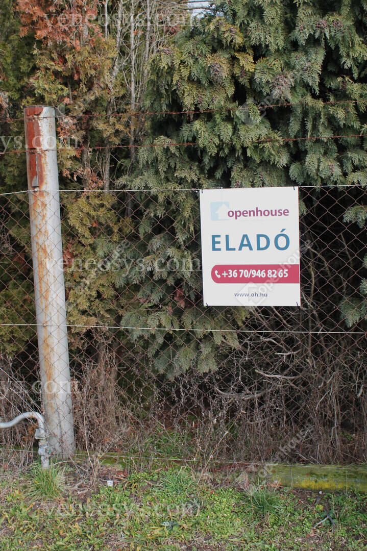 Kép 11