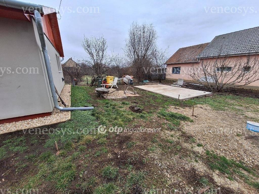 Kép 8