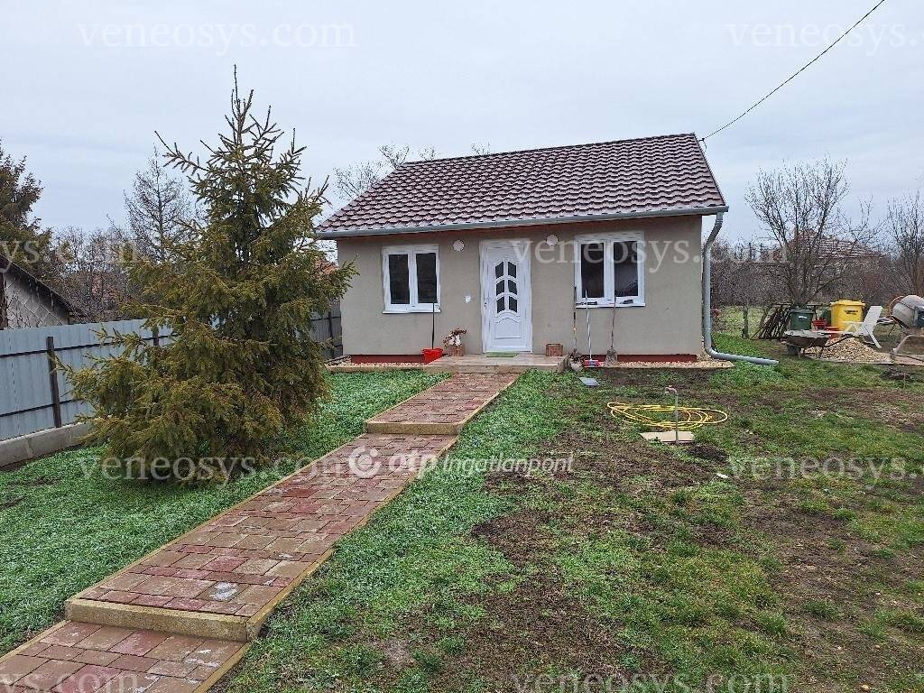 Kép 4