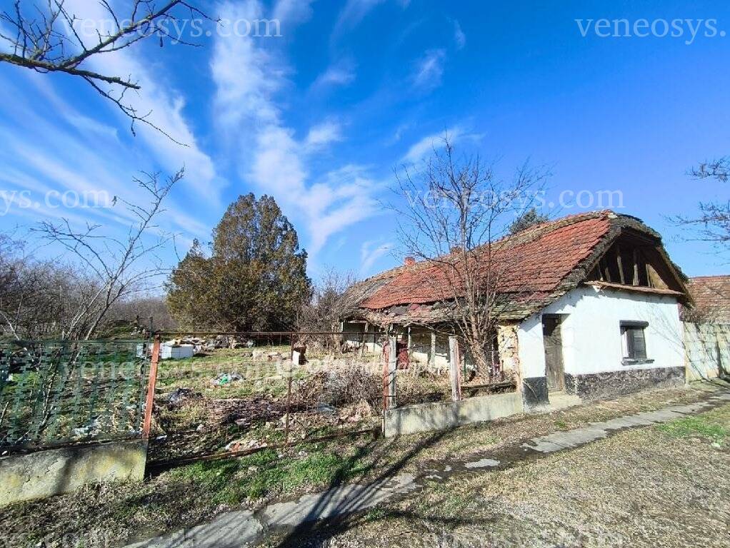 Szarvas