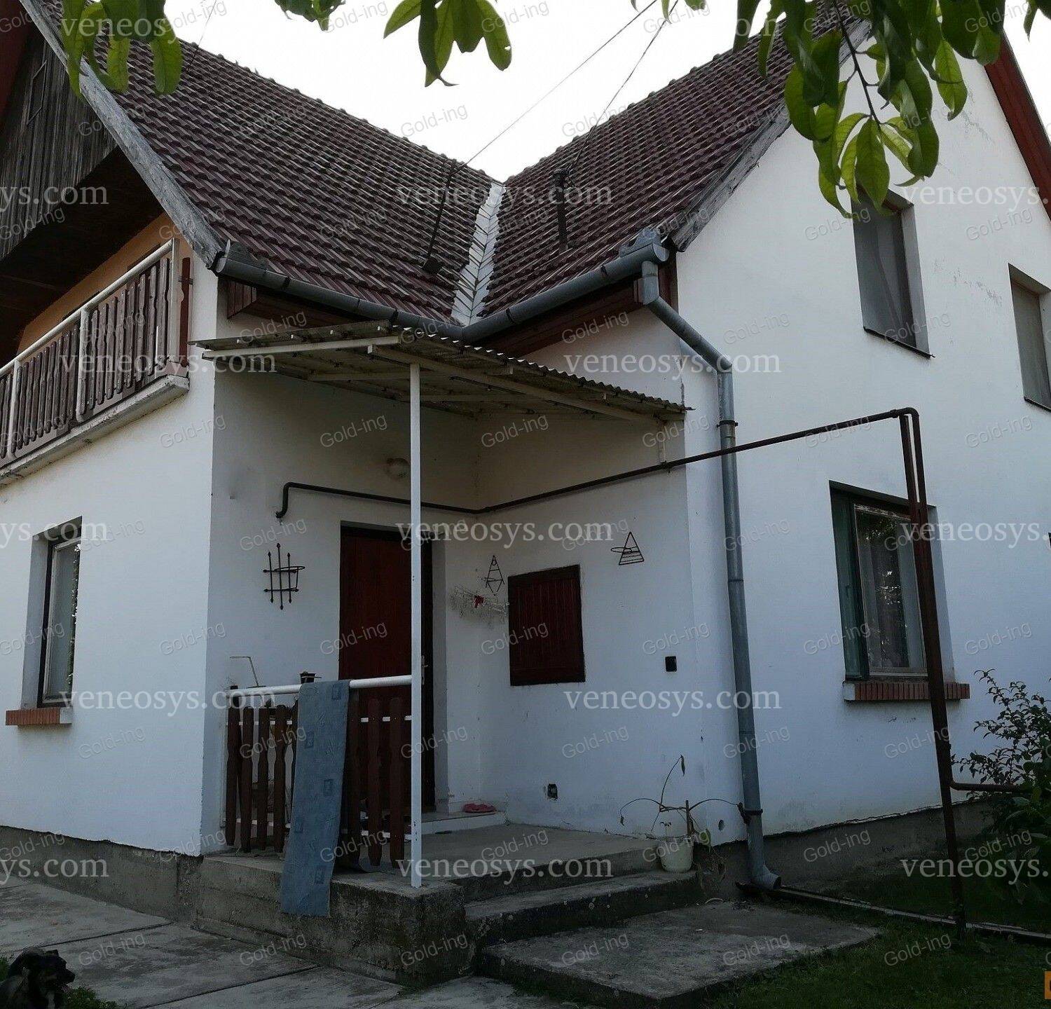 Kép 22