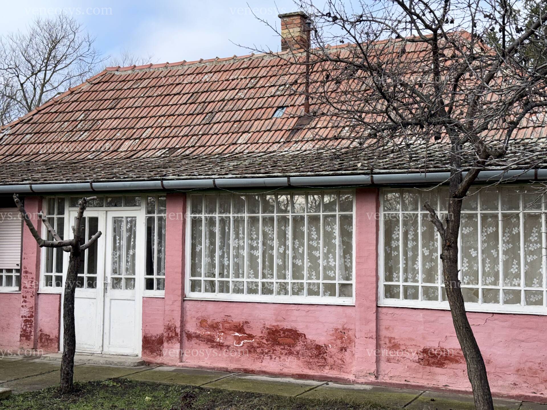 Kép 7