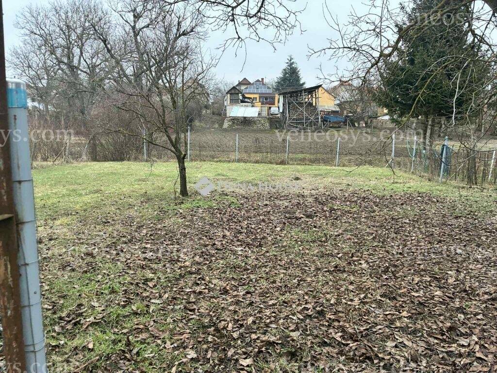Kép 13