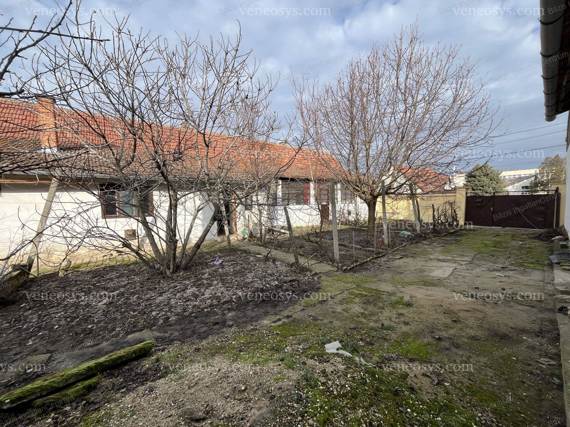 Kép 11