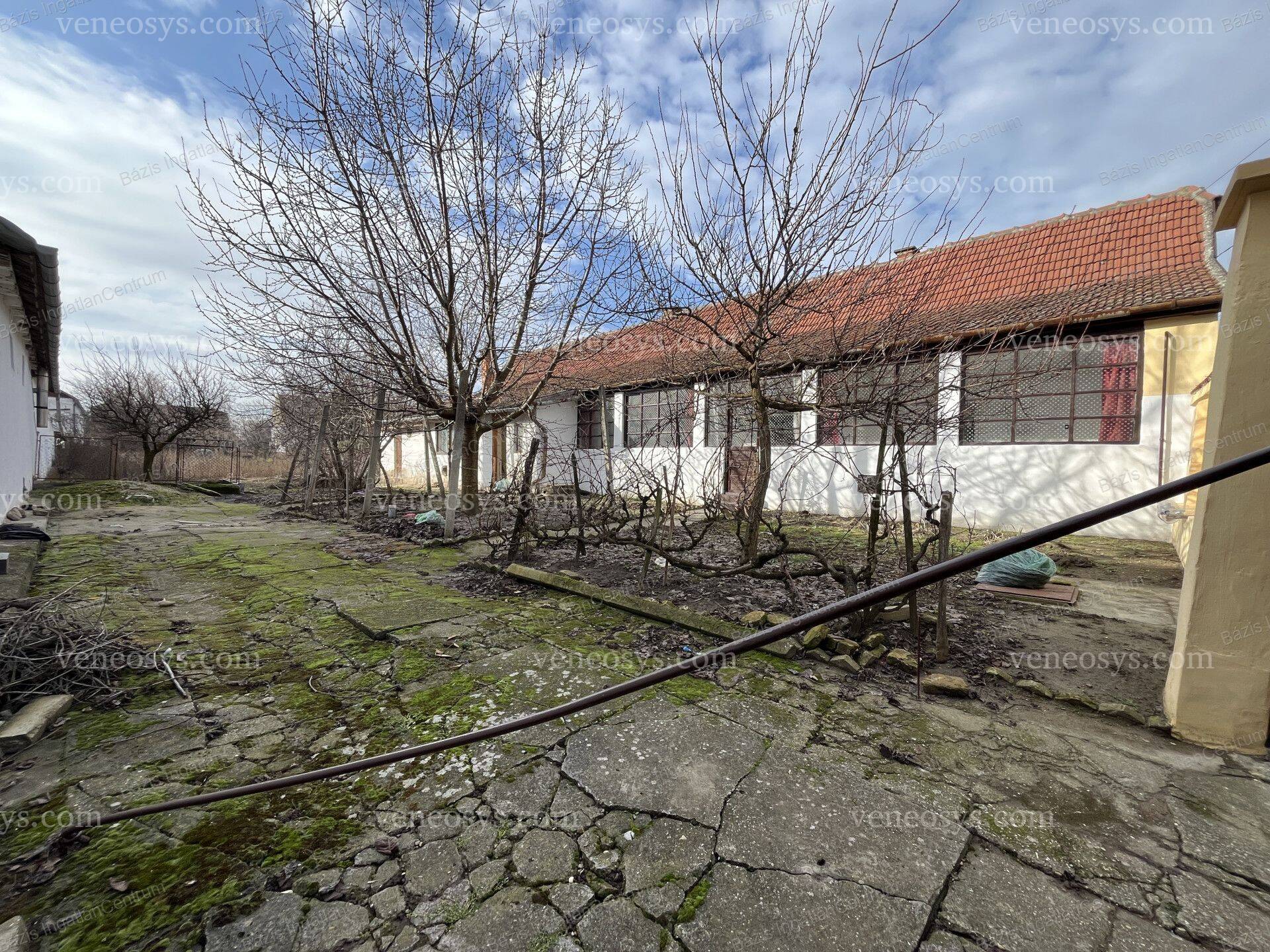Kép 13