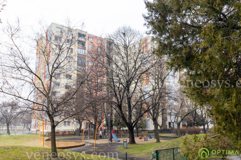 Kép 21