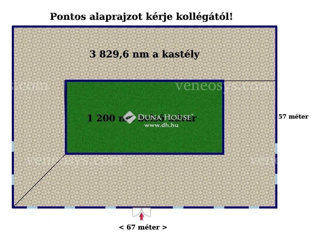 Kép 7