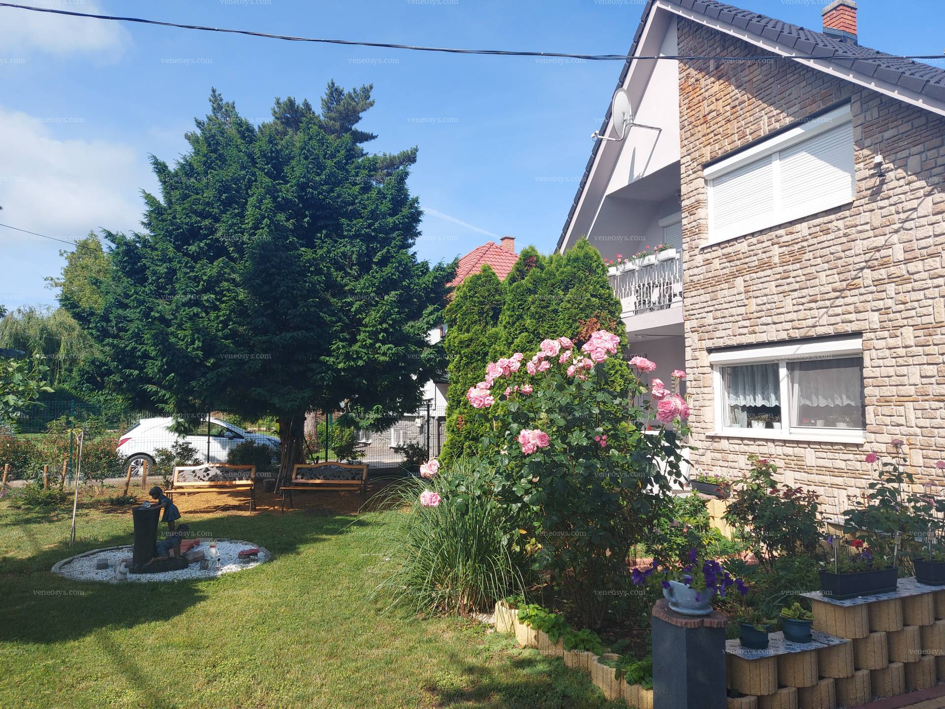 Kép 4