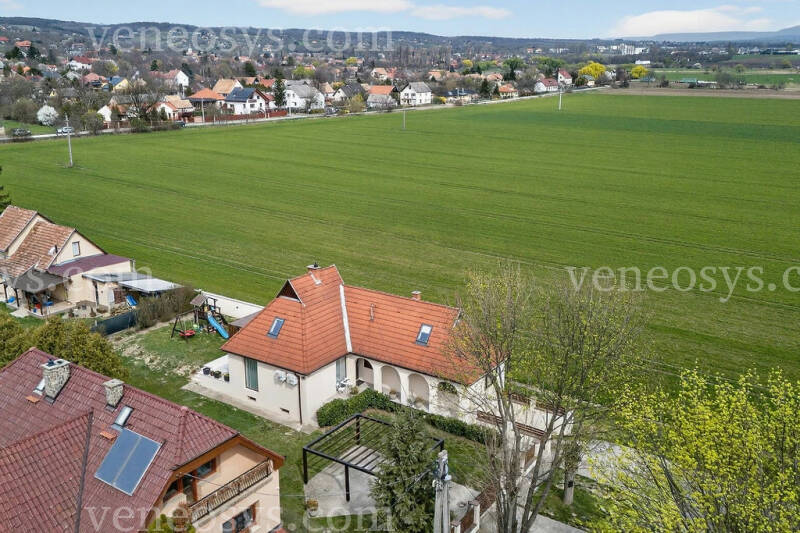 Kép 7