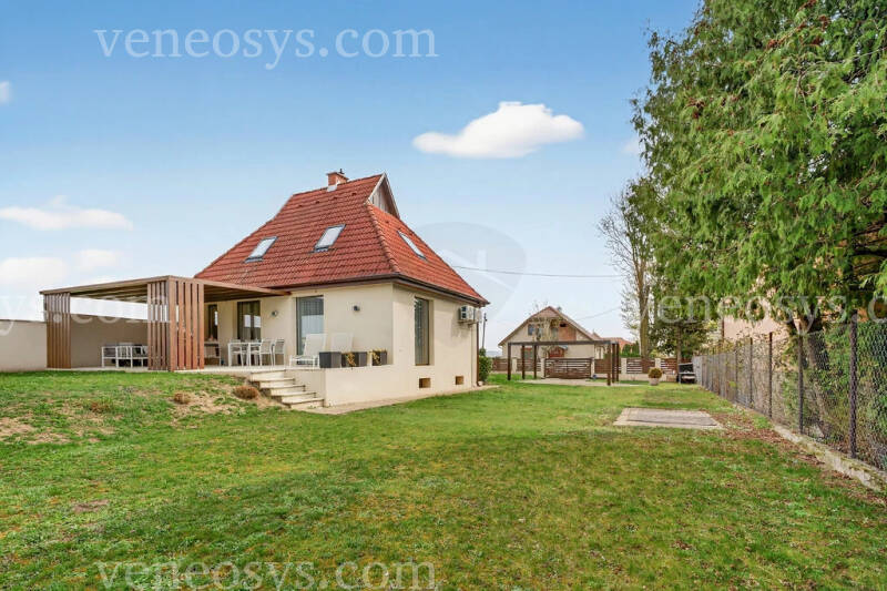 Kép 5
