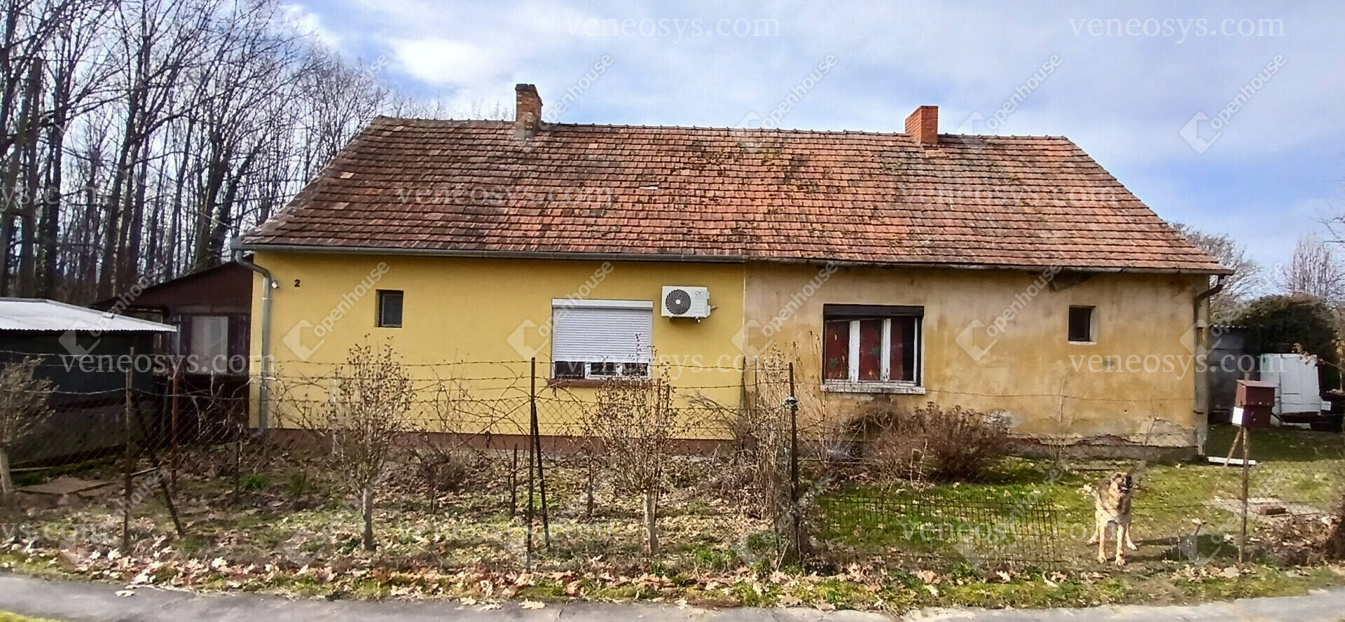 Kép 8