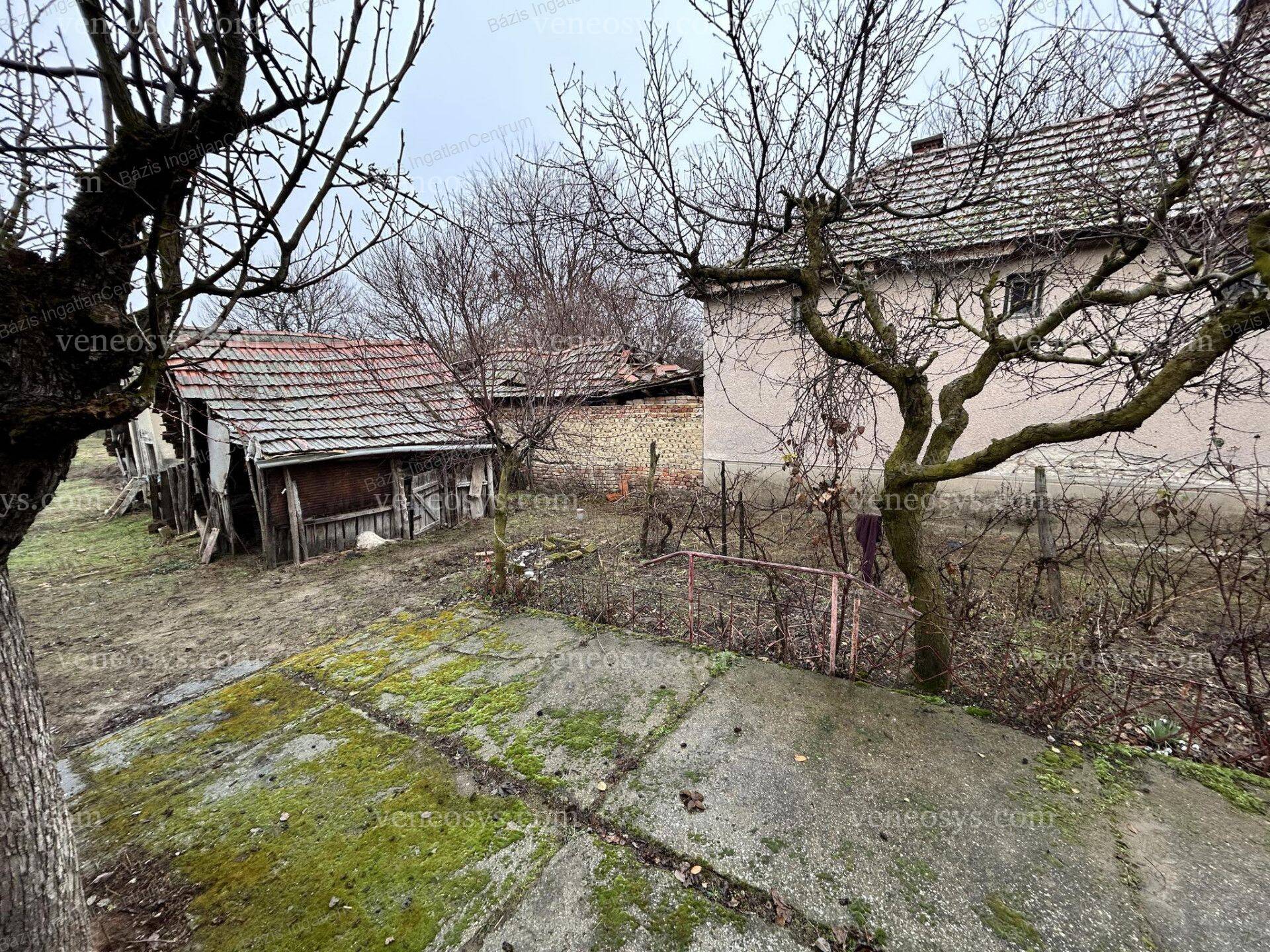 Kép 22
