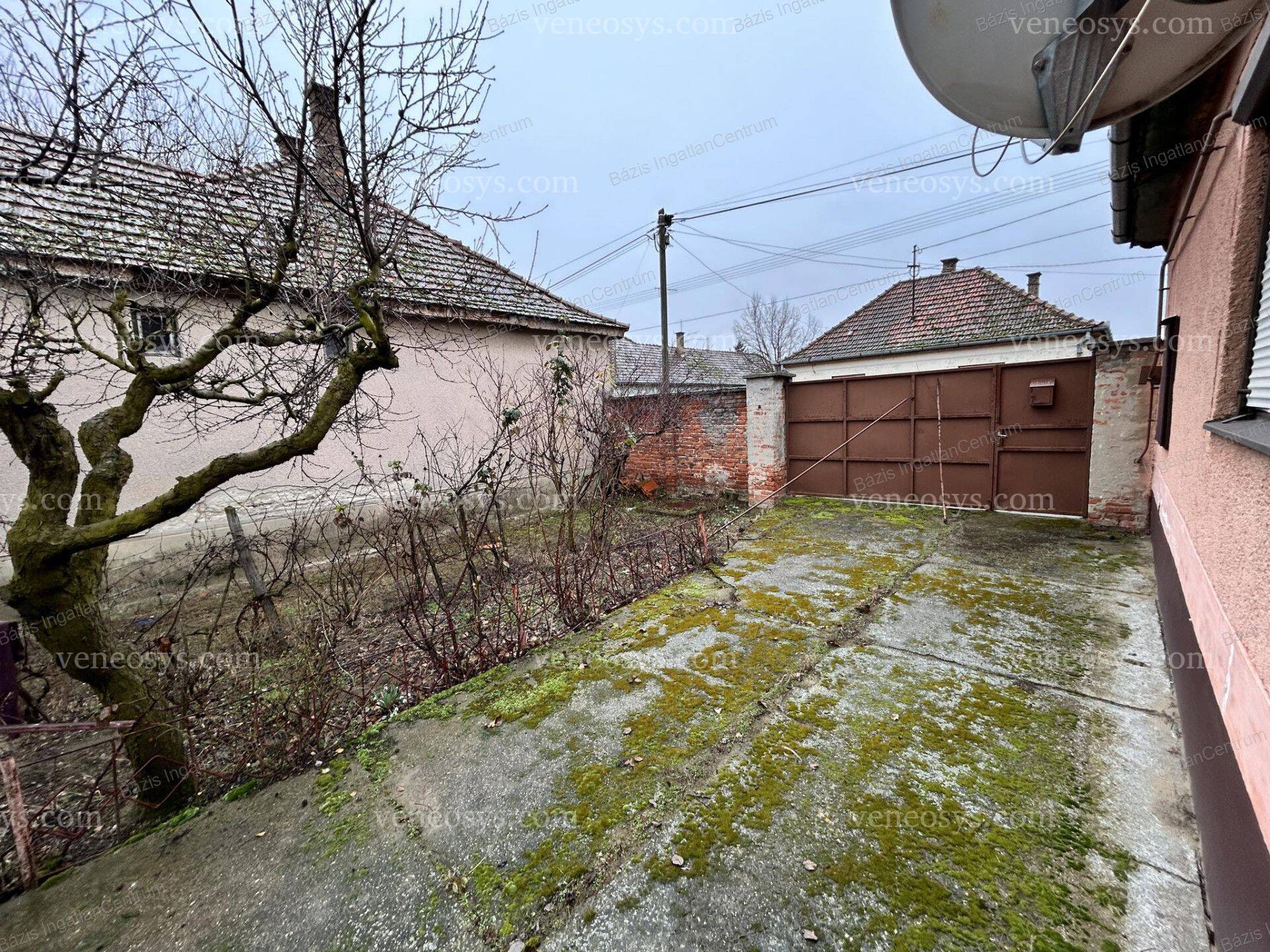 Kép 14