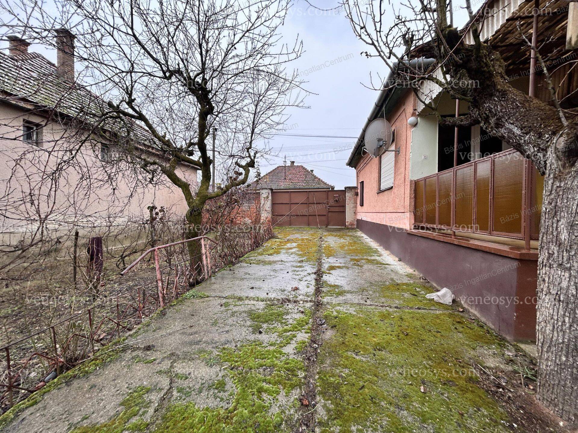 Kép 21